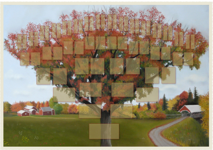 Arbre illustr 6 gnrations Erable Rouge