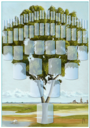 Arbre illustr 6 gnrations Frne