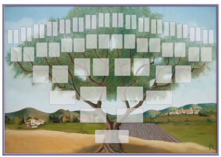 Arbre illustr 6 gnrations Olivier