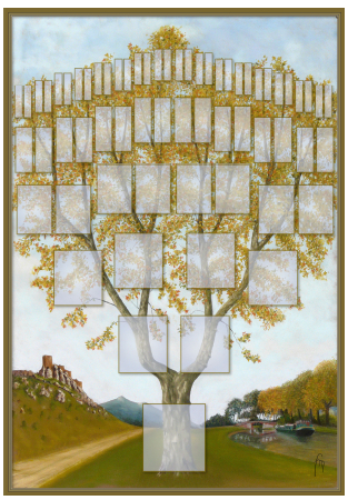 Arbre illustr 6 gnrations Platane
